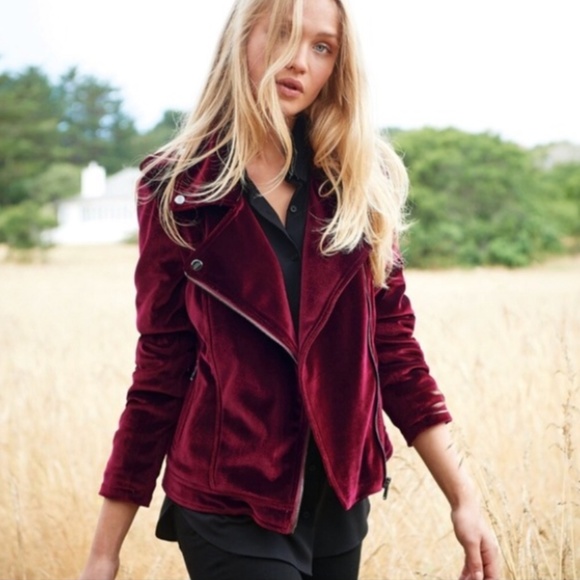 Steve Madden Jackets & Blazers - Steve Madden | Velvet Moto Jacket Medium